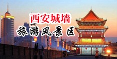 肛交母狗中国陕西-西安城墙旅游风景区